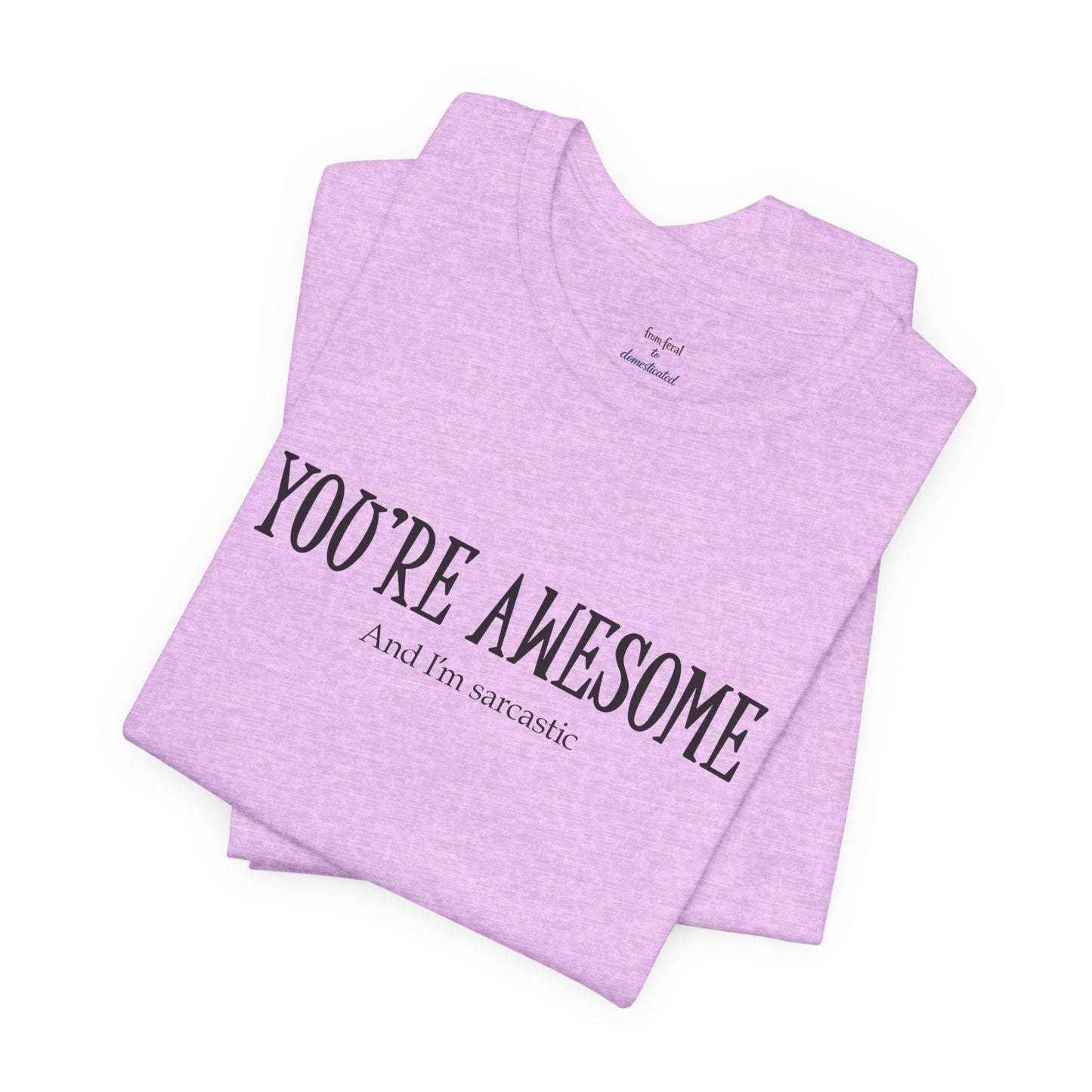 You're Awesome (And I'm Sarcastic) T-Shirt